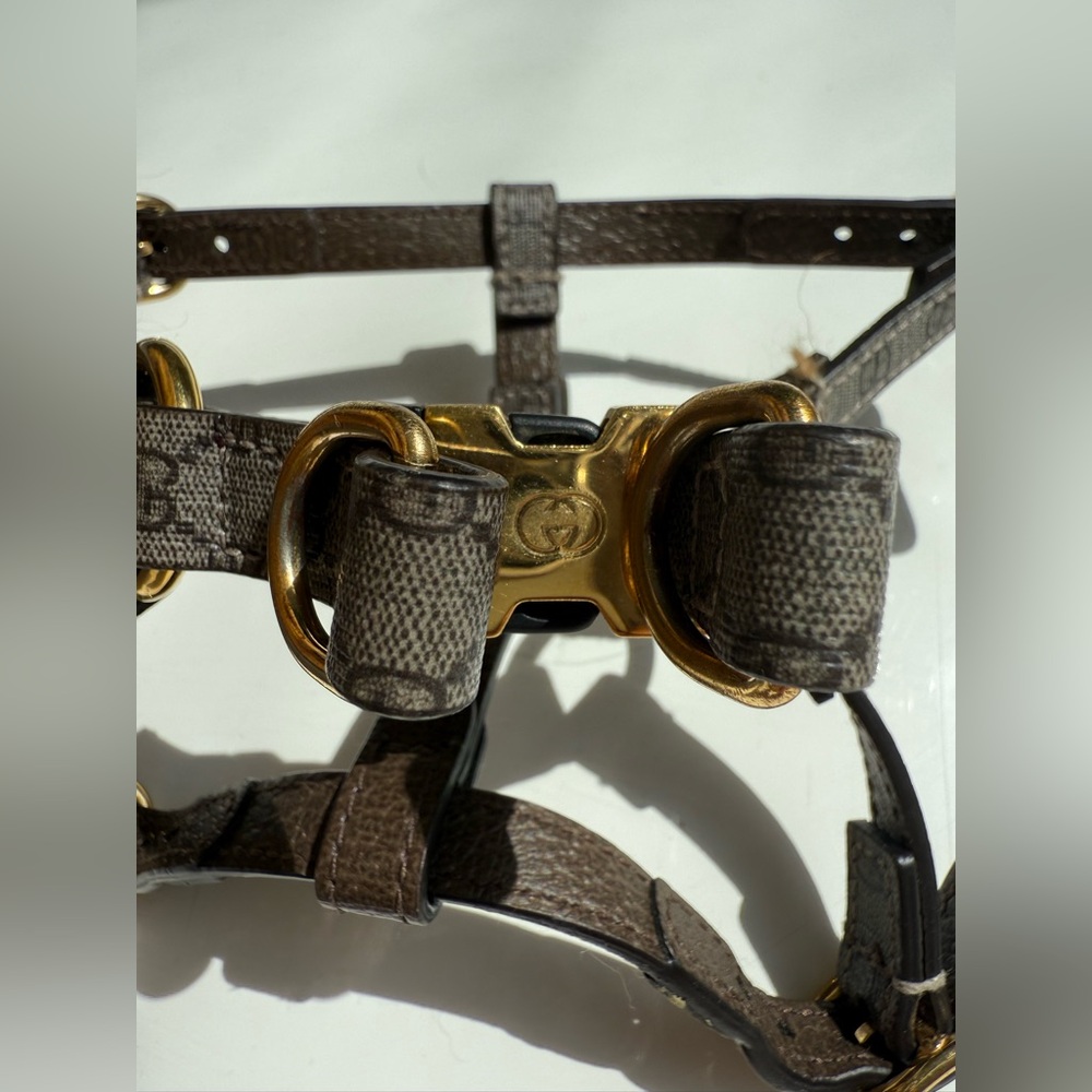 Gucci Demetra Gold Brown Pet harness with Leather and gold Gucci hardware